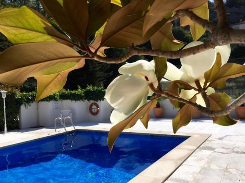 Hotel Robert La Pobla de Claramunt